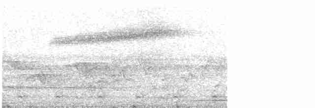 Picoplano de Anteojos - ML448772201