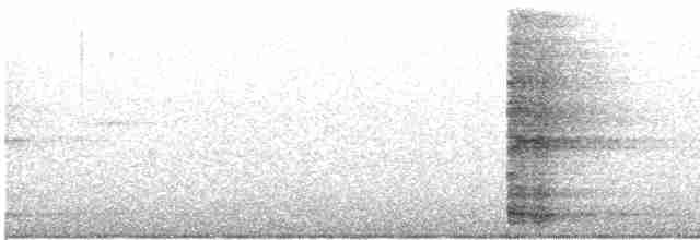 Ring-necked Pheasant - ML448791001