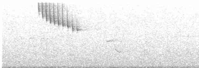 Сейшельская нектарница - ML448806431