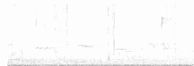 Чернокрылая пиранга - ML448852821