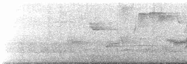 Canada Warbler - ML448923111