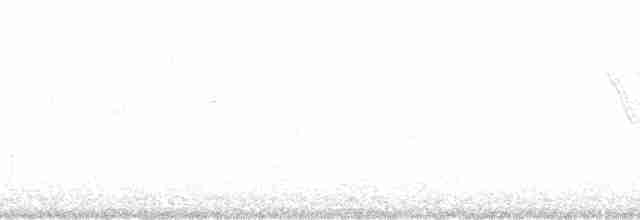 Червоїд сіроголовий (підвид ridgwayi) - ML44893