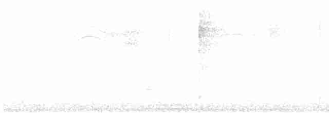 holub šedohlavý - ML448946801