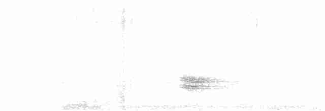 Weißkehldrossel - ML448970711
