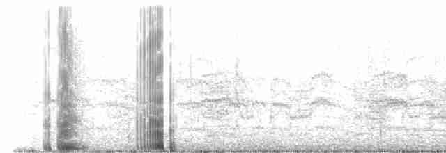 Common Tern - ML449102761