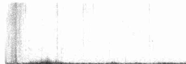 Black-throated Gray Warbler - ML449169811