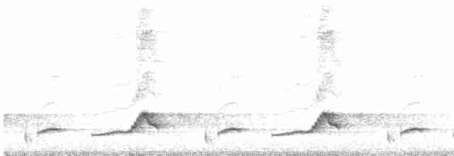 Schwarzkehl-Nachtschwalbe - ML449170221