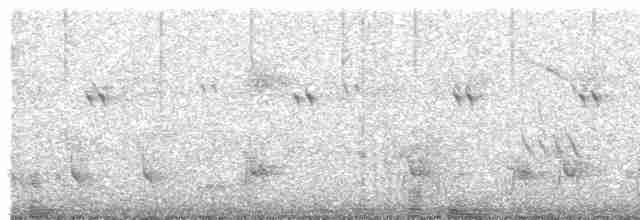 Southern White-fringed Antwren - ML449249721