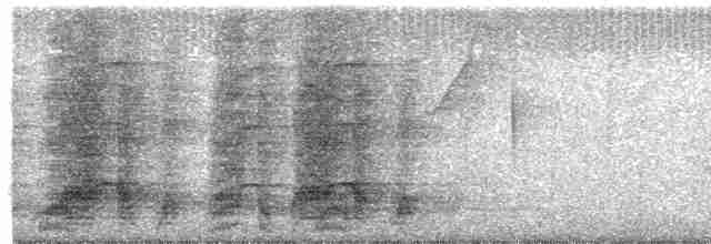 Арауканская чачалака - ML449256301
