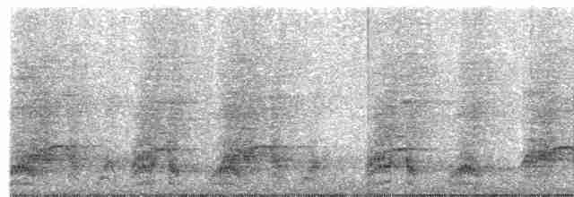 Арауканская чачалака - ML449256311