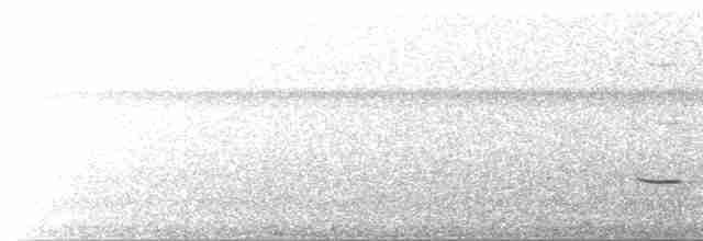 Striped Cuckoo - ML449266681
