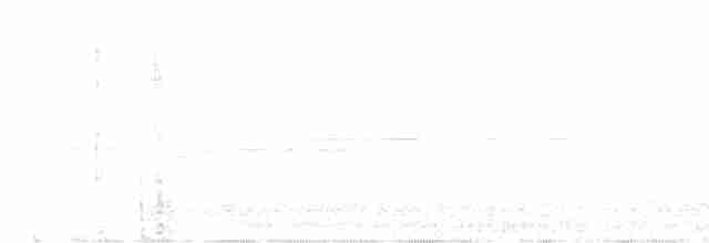Белогорлая зонотрихия - ML449348881