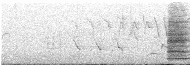 Ring-necked Pheasant - ML449349901