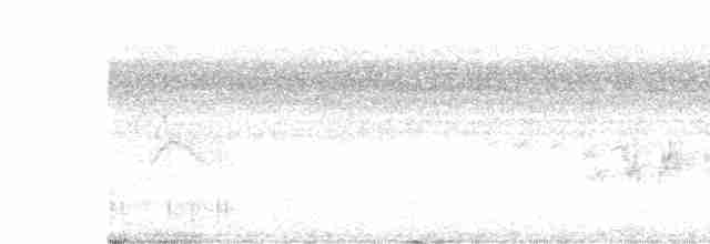 メジロシラギクタイランチョウ - ML449352201