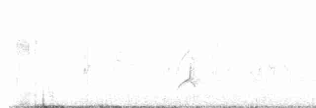 Gri Boğazlı Sinekkapan - ML449356601