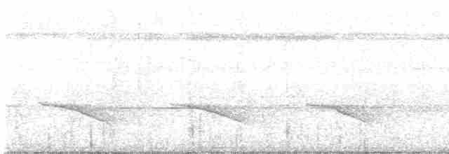 Short-tailed Babbler - ML449361191