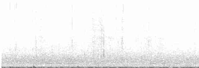 Black-billed Cuckoo - ML449536171