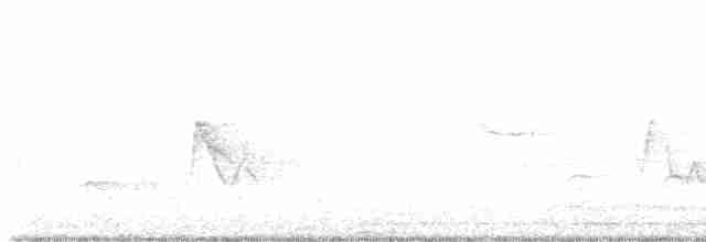 Hooded Warbler - ML449547941