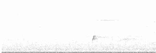Дрізд-короткодзьоб Cвенсона - ML449602761