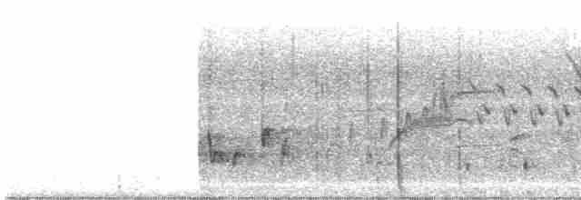 Buff-collared Nightjar - ML449673461