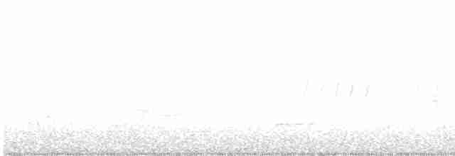 Cerulean Warbler - ML449742931