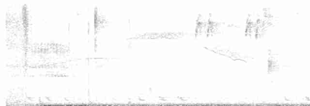 Black-billed Cuckoo - ML449744451