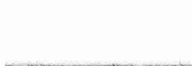 Кропив'янка прудка (підвид curruca/blythi/hamertoni) - ML449876961