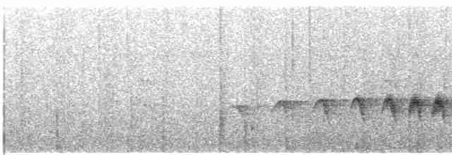 Nordamazonien-Ameisenschnäpper - ML449921871