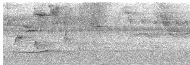 Дрізд-короткодзьоб південний - ML449922031