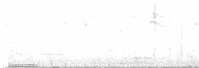 Поплітник каролінський - ML449936071
