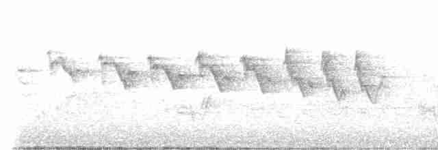 Желтогорлая древесница (albilora) - ML449939511