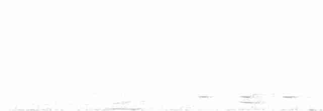 Сичик-горобець андійський - ML450034941