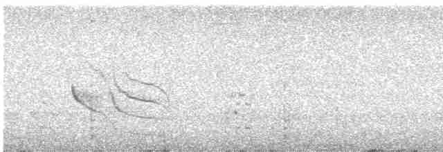 Uzun Kuyruklu Sinklot - ML450052391