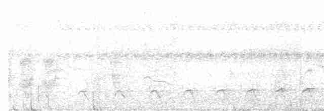 Nordamazonien-Ameisenschnäpper - ML450096981