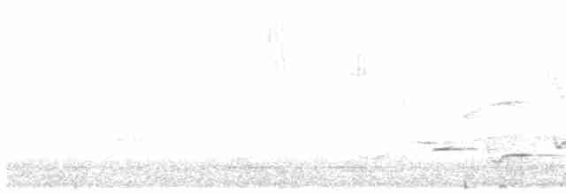 アオムネヒメエメラルドハチドリ - ML450113751