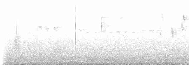 Tennessee Warbler - ML450141221