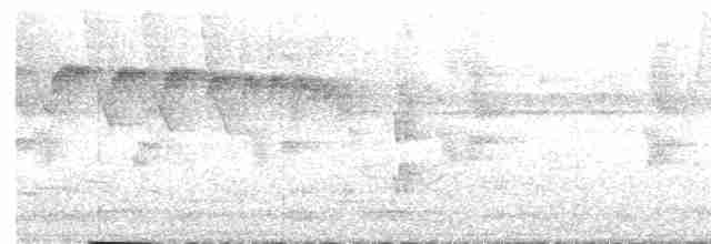 Pipromorphe roussâtre - ML450257961