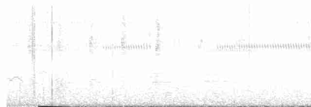 rorýs srpokřídlý - ML450260411