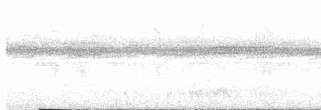 Rufous Nightjar - ML450265771