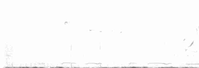 Чернозобая овсянка - ML450285631