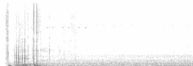 Kermadecsturmvogel - ML450289441