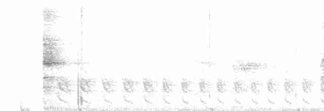 Kara Başlı Trogon - ML450365241