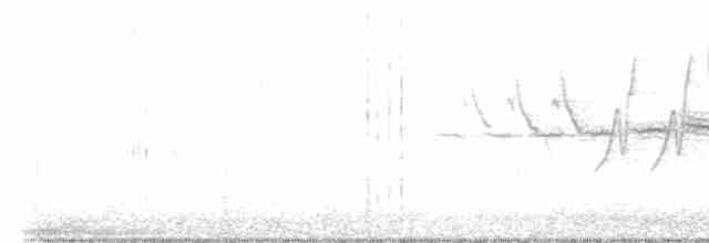 Prairie Warbler - ML450410591
