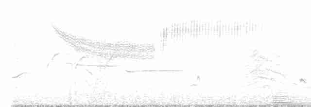Голубокрылая червеедка - ML450410831