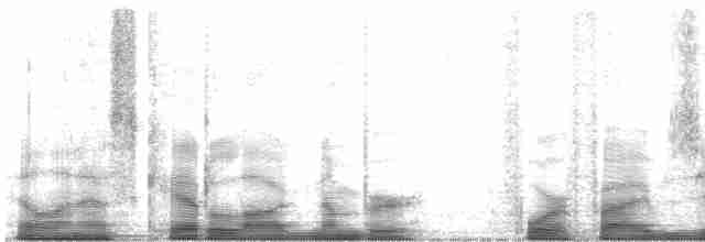 Чернохохлая гренадерка - ML45044