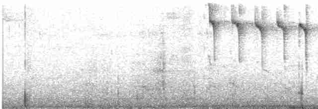 Isabellstreifen-Meisenschlüpfer - ML450450411