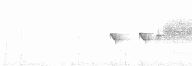 Streak-headed Antbird - ML450460371