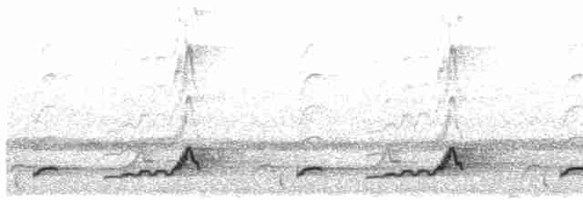 Schwarzkehl-Nachtschwalbe - ML450615301