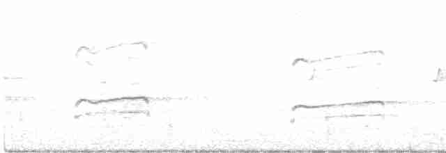 Balbuzard pêcheur (cristatus) - ML450624171