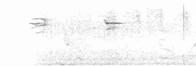 Chalk-browed Mockingbird - ML450624681